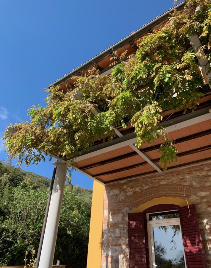 קמפיליה מריטימה B&B La Fucinaia Pet Friendly Adults Only מראה חיצוני תמונה