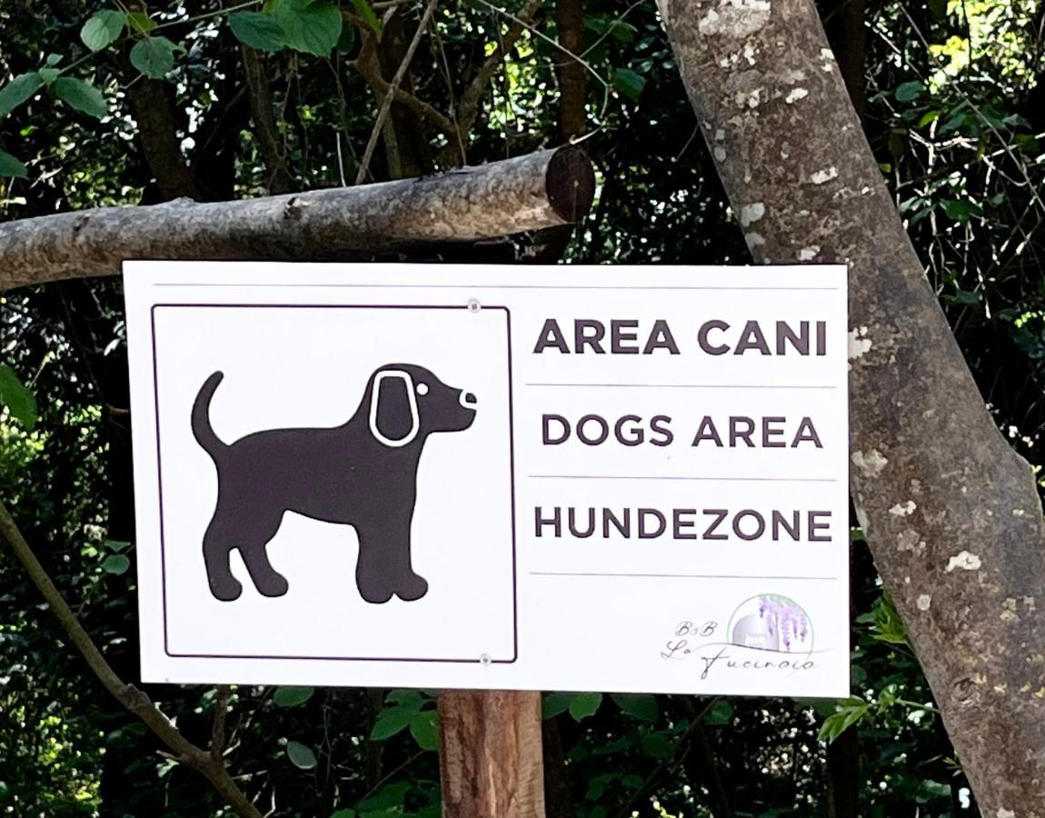 קמפיליה מריטימה B&B La Fucinaia Pet Friendly Adults Only מראה חיצוני תמונה