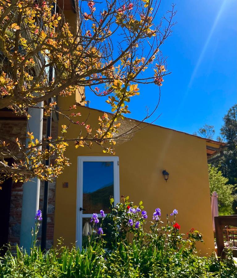 קמפיליה מריטימה B&B La Fucinaia Pet Friendly Adults Only מראה חיצוני תמונה