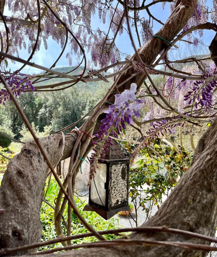 קמפיליה מריטימה B&B La Fucinaia Pet Friendly Adults Only מראה חיצוני תמונה