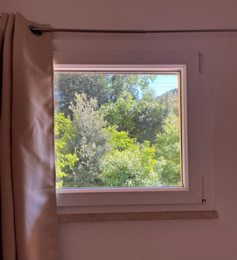 קמפיליה מריטימה B&B La Fucinaia Pet Friendly Adults Only מראה חיצוני תמונה