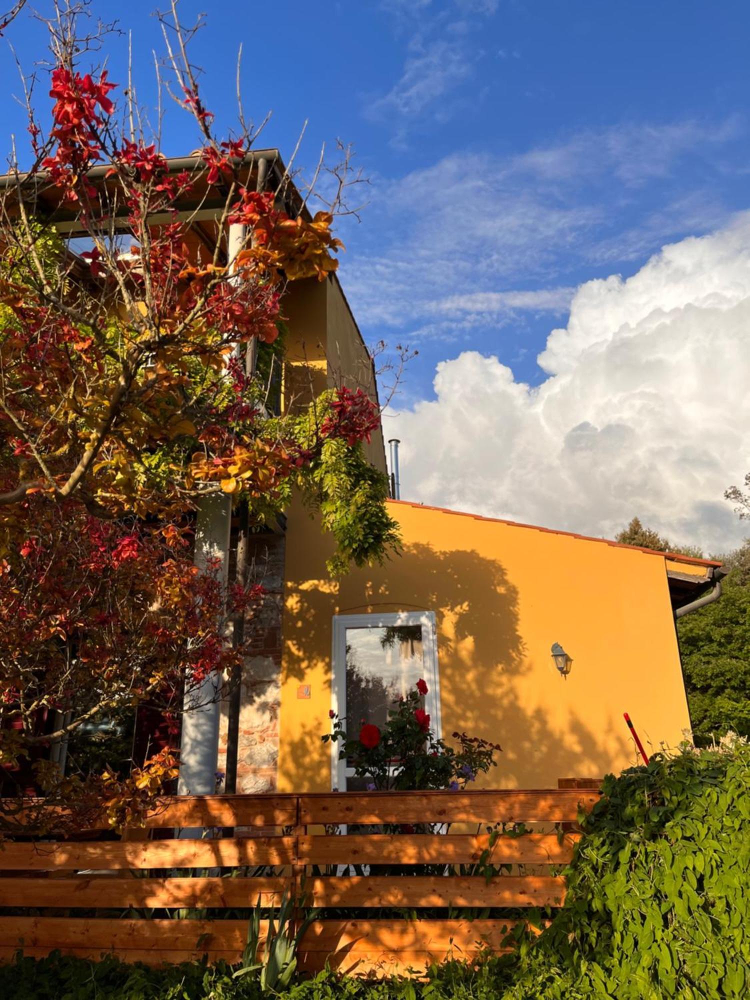 קמפיליה מריטימה B&B La Fucinaia Pet Friendly Adults Only מראה חיצוני תמונה