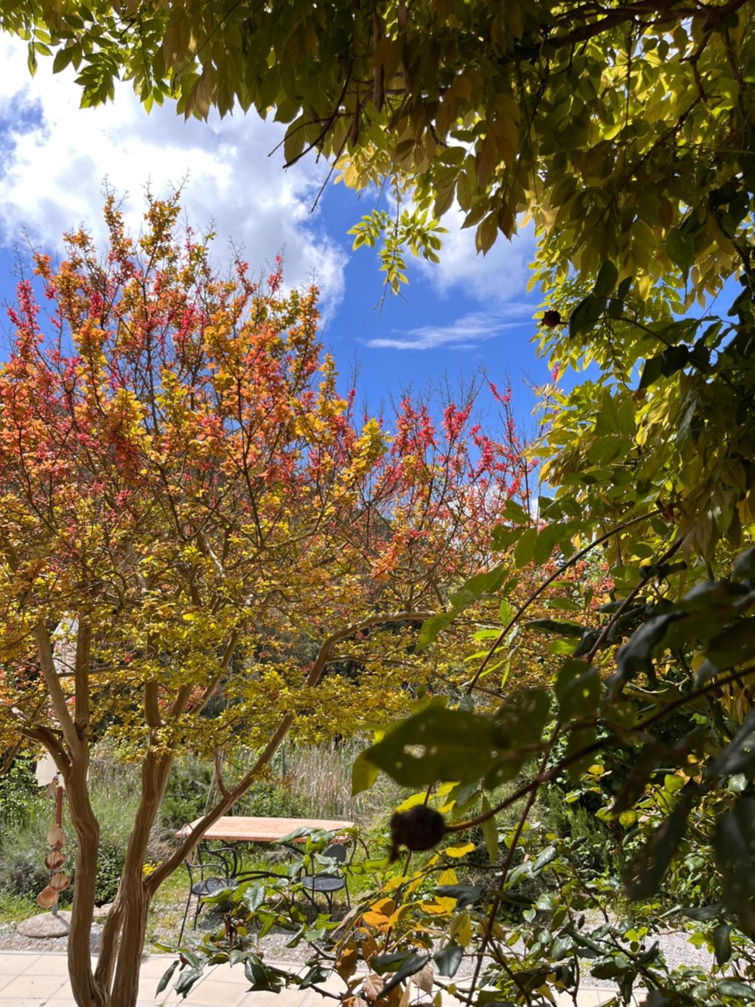קמפיליה מריטימה B&B La Fucinaia Pet Friendly Adults Only מראה חיצוני תמונה