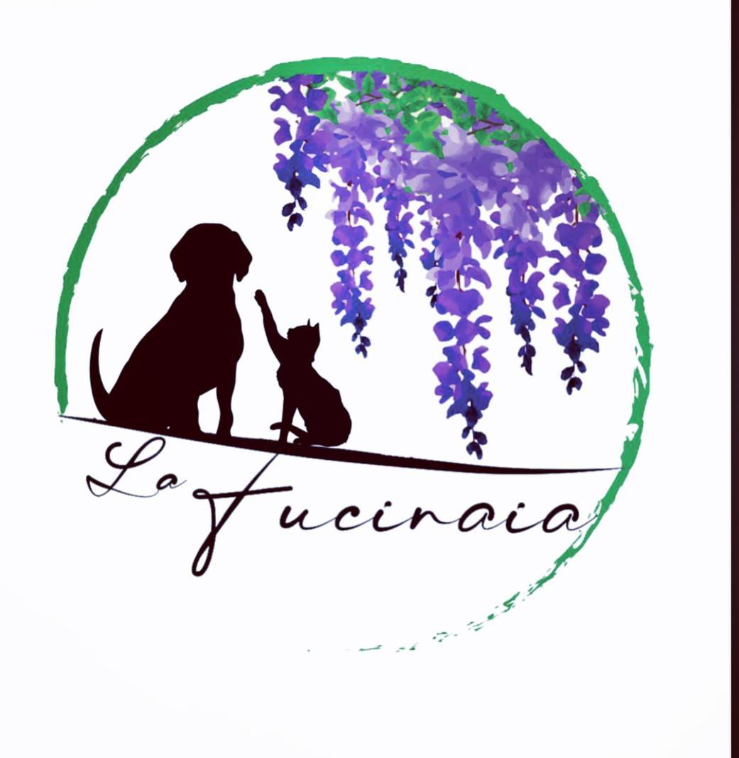 קמפיליה מריטימה B&B La Fucinaia Pet Friendly Adults Only מראה חיצוני תמונה