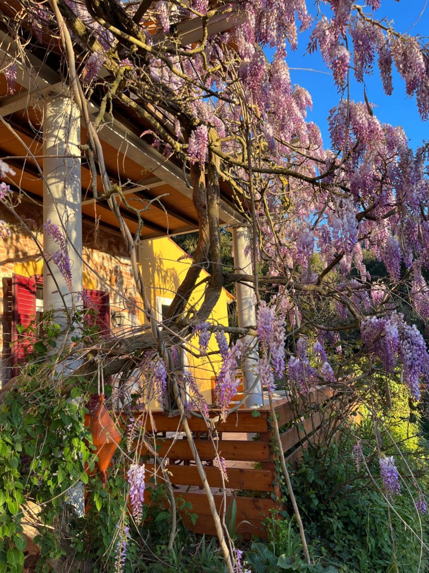 קמפיליה מריטימה B&B La Fucinaia Pet Friendly Adults Only מראה חיצוני תמונה