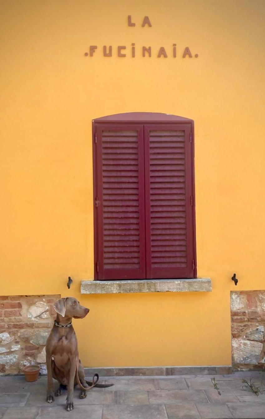 קמפיליה מריטימה B&B La Fucinaia Pet Friendly Adults Only מראה חיצוני תמונה